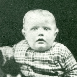 David A. Carpenter